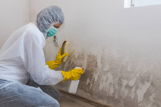 Best Mold Testing  in Rankin, TX