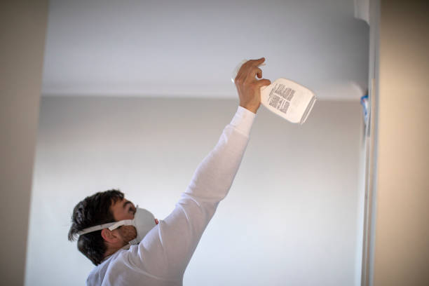 Best Home Mold Removal  in Rankin, TX