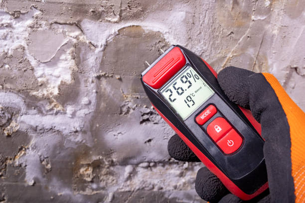 Best Residential Mold Removal  in Rankin, TX