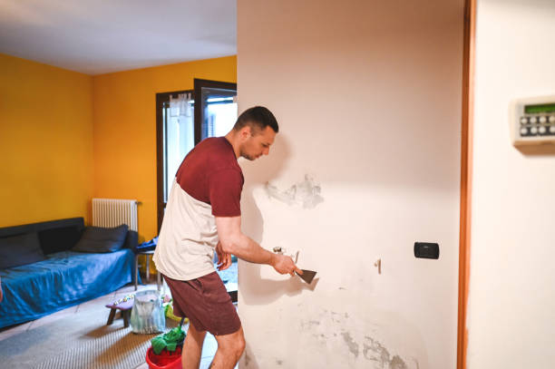 Best Same-Day Mold Removal  in Rankin, TX