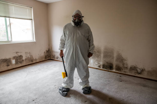 Best Toxic Mold Removal  in Rankin, TX